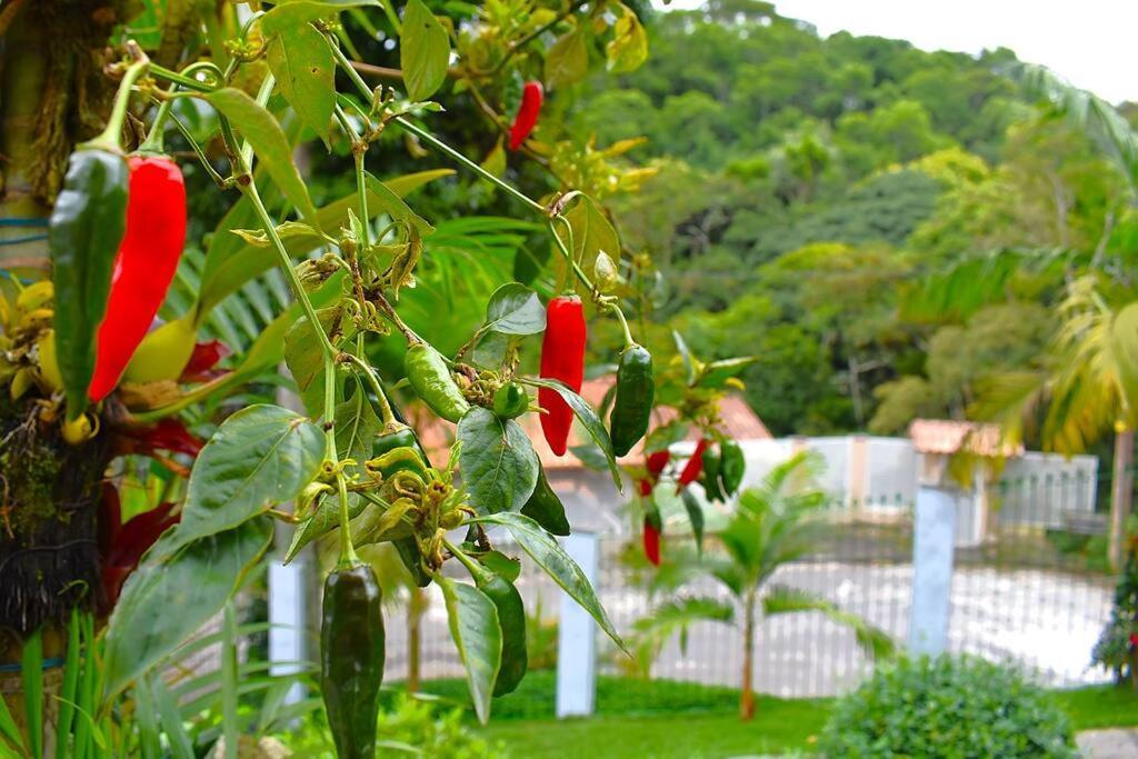Casa Espetacular No Centro Da Serra Nova Friburgo Exteriör bild